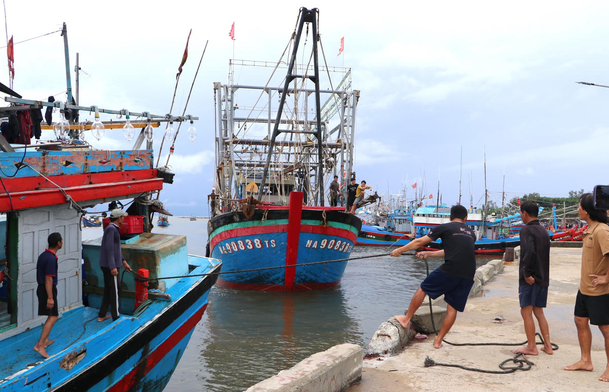 Ngư dân Quảng Ngãi đưa tàu thuyền vào cảng trú tránh áp thấp nhiệt đới. Ảnh: Tấn Thành.