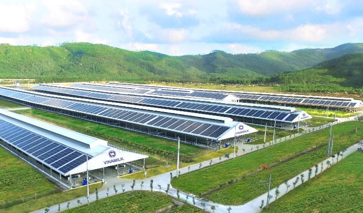 Hệ thống trang trại sinh thái Vinamilk Green Farm là kết quả nổi bật của Vinamilk trong việc thực hiện chiến lược phát triển bền vững.
