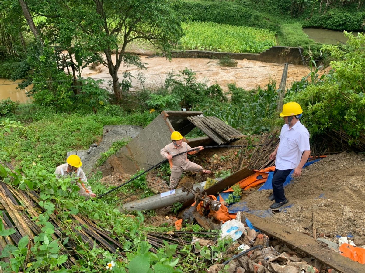 Điện lực Bắc Kạn kiểm tra an toàn lưới điện.