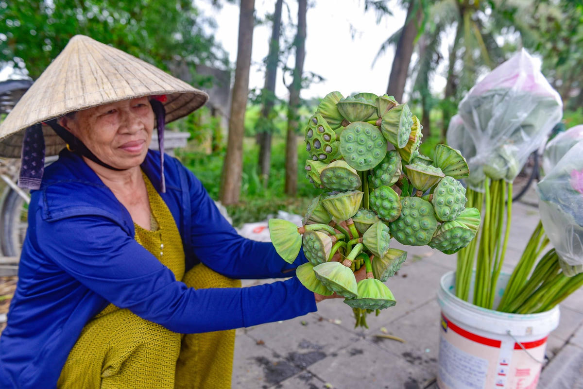 Trên những gánh hàng rong len lỏi khắp các đường phố xứ Thanh, sắc hoa giản dị cùng hương thơm thoang thoảng làm dịu bớt cái nắng oi ả của mùa hè. .