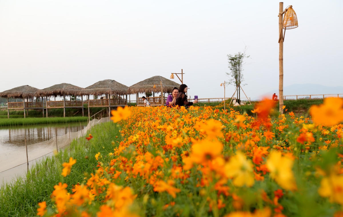 "Không gian thơ mộng, những con đường đầy hoa khiến cho tôi cũng như bạn bè tham quan có một cảm giác yên bình, thoải mái. Những con đường hoa không những mang vẻ đẹp thơ mộng, lãng mạn mà còn toát lên sự mộc mạc, giản dị của vùng quê Hà Tĩnh", chị Trần Thị Yến (28 tuổi, trú tại TP Hà Tĩnh) nói.