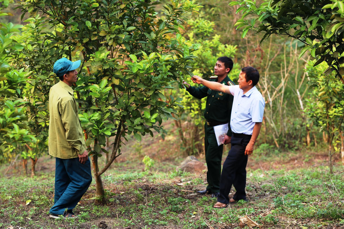 Bản Táo đang dần tiến về đích trong chương trình xây dựng nông thôn mới.