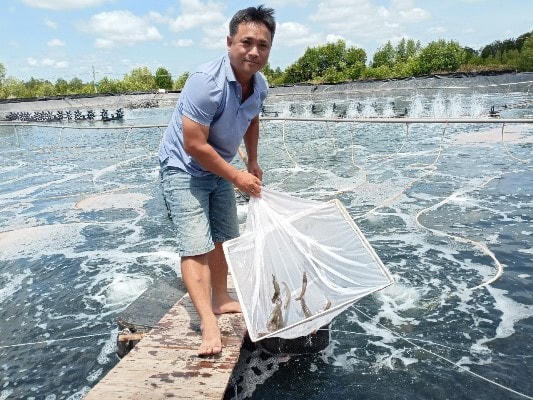 Anh Bình bên mô hình nuôi của gia đình