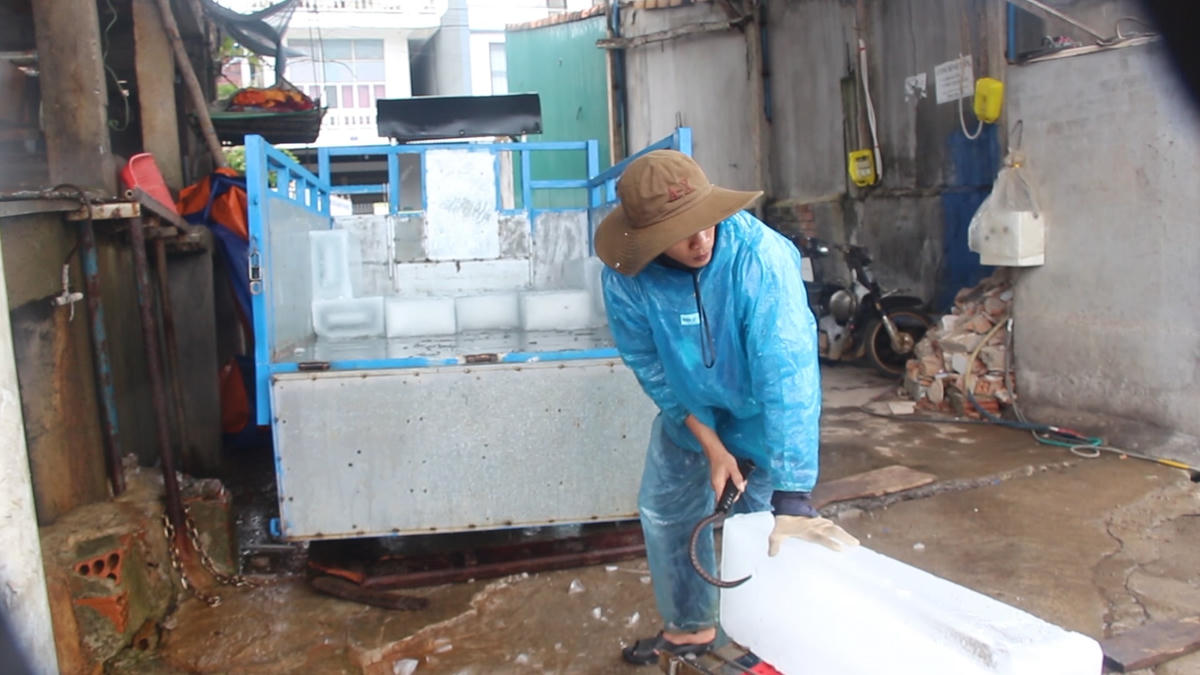 Nhân công vận chuyển đá cây từ xe lên tàu cá.