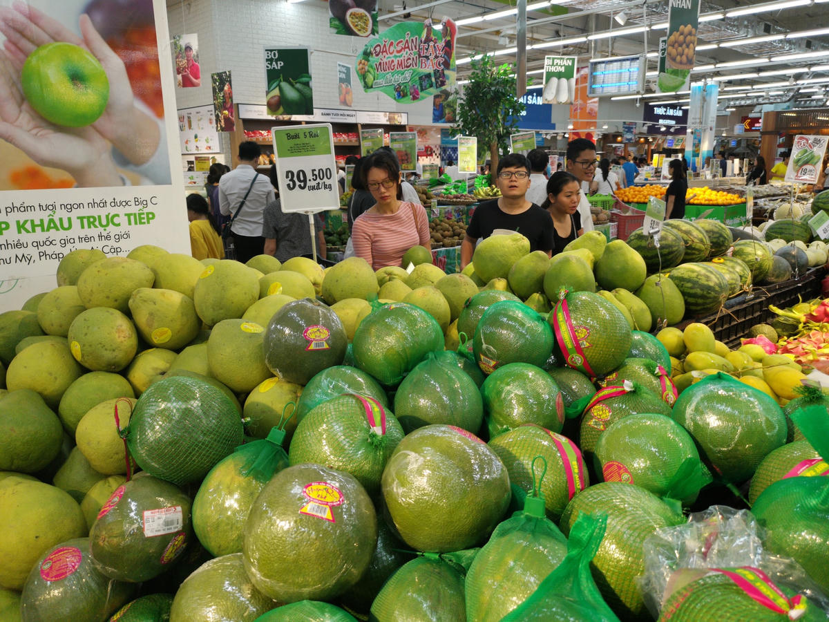 Dự báo trái bưởi sẽ đóng góp một phần không nhỏ vào kim ngạch xuất khẩu nông sản thời gian tới. Ảnh: Quang Vinh.