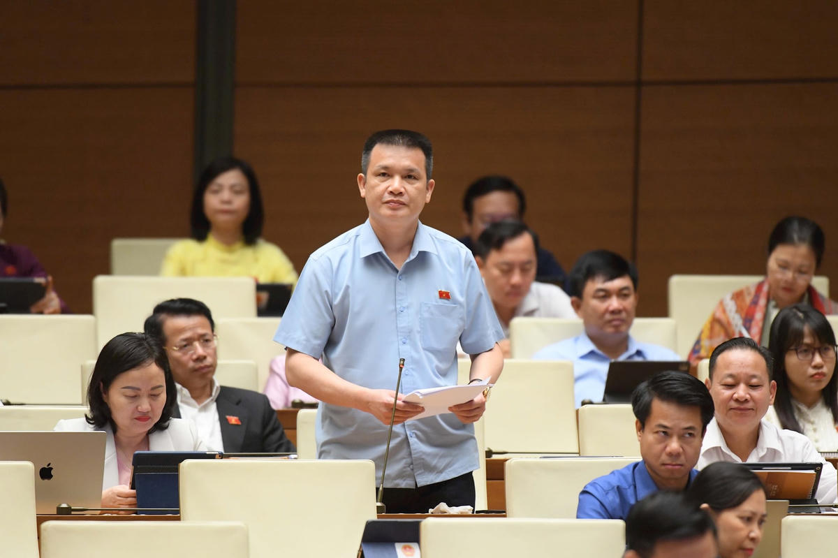 Hoàng Ngọc ĐỊnh - Hà Giang.1
