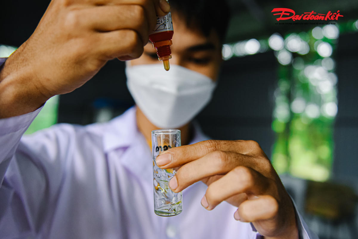  Anh Cảnh cho biết, trước đây mới làm mô hình do nước chưa được kiểm soát, lượng cua chết lên tới 50%. 