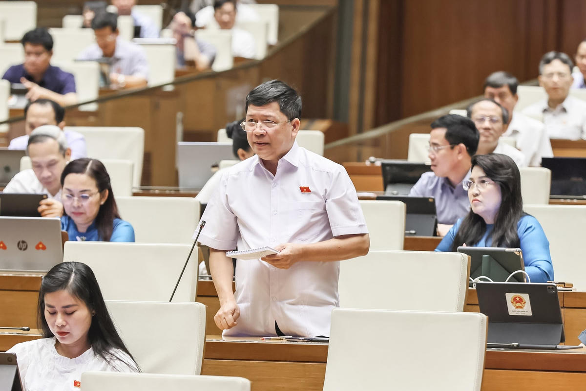 Tạ Văn Hạ, Quảng Nam