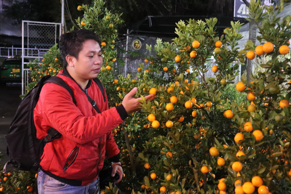 Anh Hoàng Đông (trú TP Thanh Hóa), một khách hàng đi xem quất cảnh cho biết: Năm nay, do tình hình kinh tế trầm lắng nên cơ quan không được thưởng Tết cao, từ đó dẫn đến việc anh phải thắt chặt chi tiêu trong dịp cận Tết. "Năm nay sức mua kém hơn hẳn so với mọi năm, từ cây cảnh cho tới hàng hóa. Tính đến lúc này (ngày 21 Tết), tôi đang đi khảo sát, xem giá đào, quất... để khi nào nghỉ Tết sẽ mua", anh Đông chia sẻ.