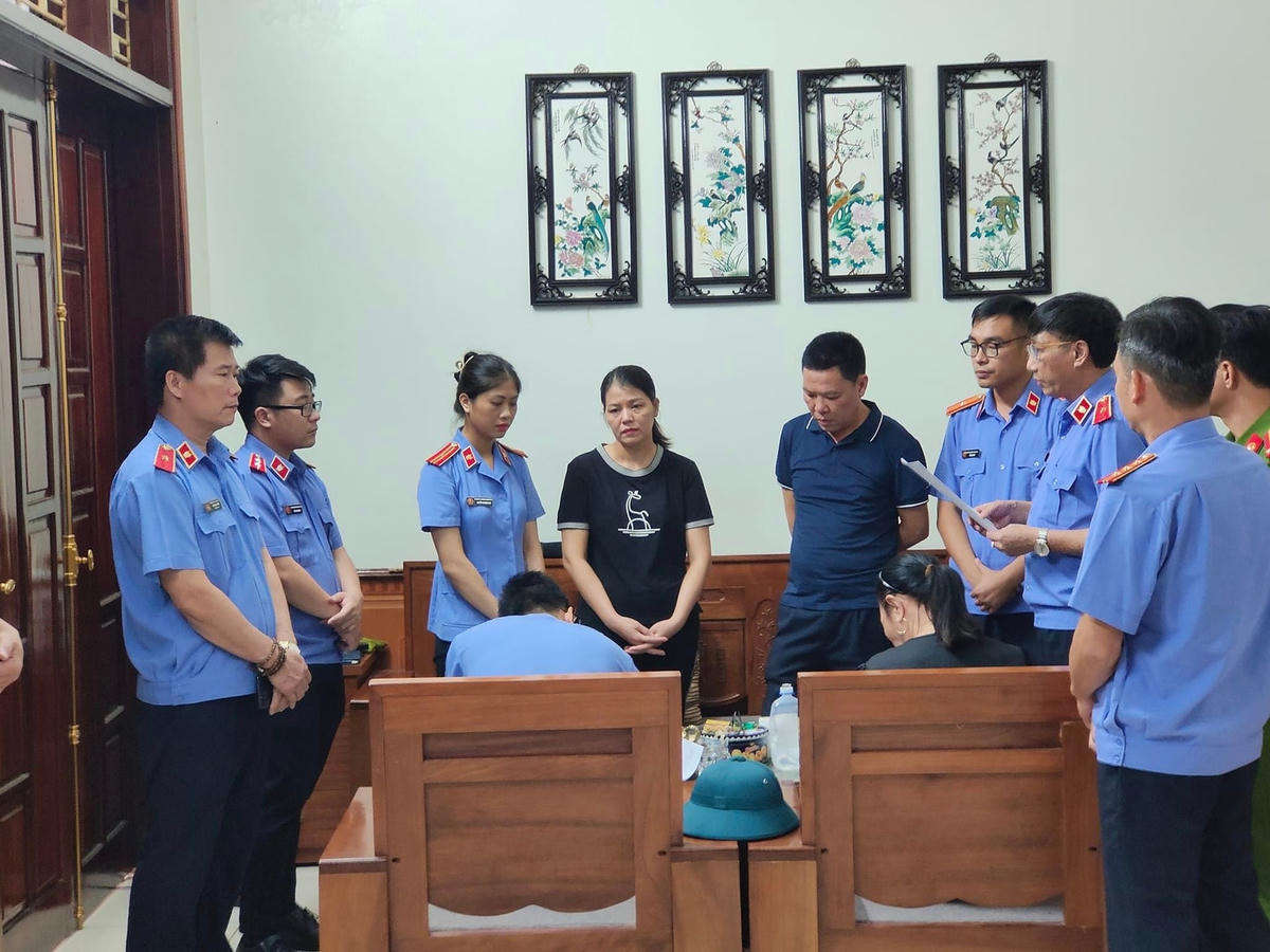 Viện KSND tối cao thi hành lệnh bắt chấp hành viên Trần Thị Hoa.