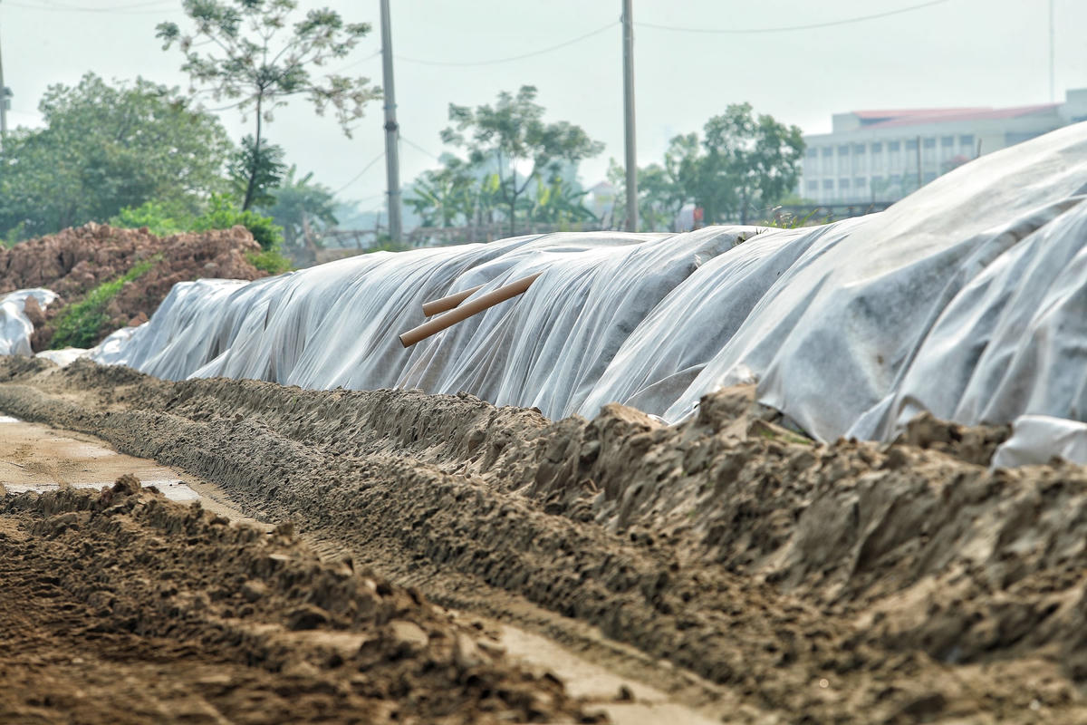 Dự án đường Vành đai 4 sau 5 tháng thi công giờ thế nào?