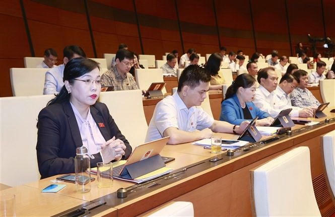 Trong tuần làm việc cuối cùng của Kỳ họp thứ 5, Quốc hội sẽ dành cả ngày 21/6 thảo luận ở hội trường về dự án Luật Đất đai (sửa đổi). (Ảnh: Doãn Tấn/TTXVN).