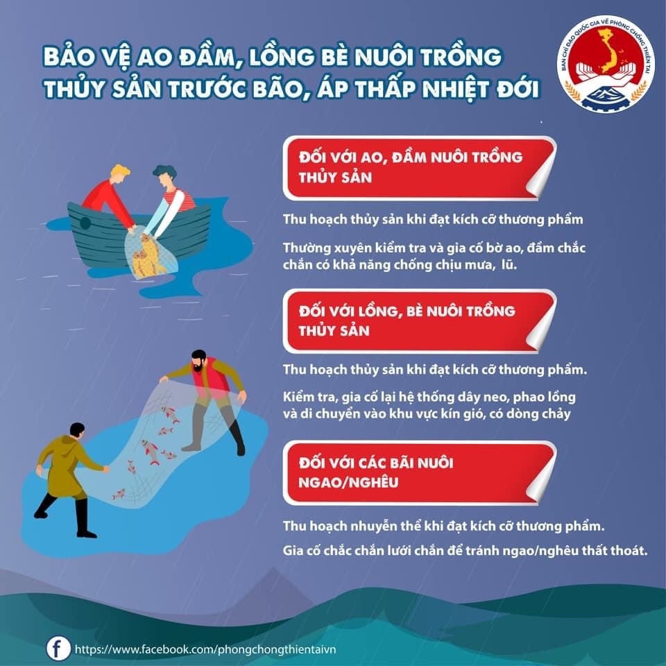 [Infographics] Phải làm gì khi bão xảy ra?
