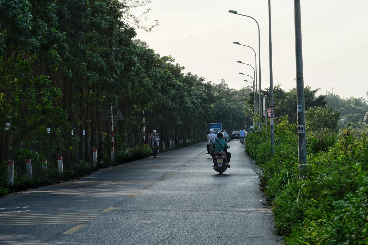 Các đường gom được thiết kế theo tiêu chuẩn đường cấp V, vận tốc thiết kế theo đường nội đô 40km/h.