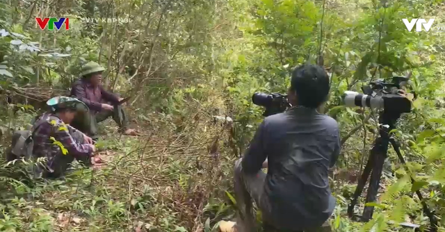 Phóng sự Thức tỉnh (Đài THVN).