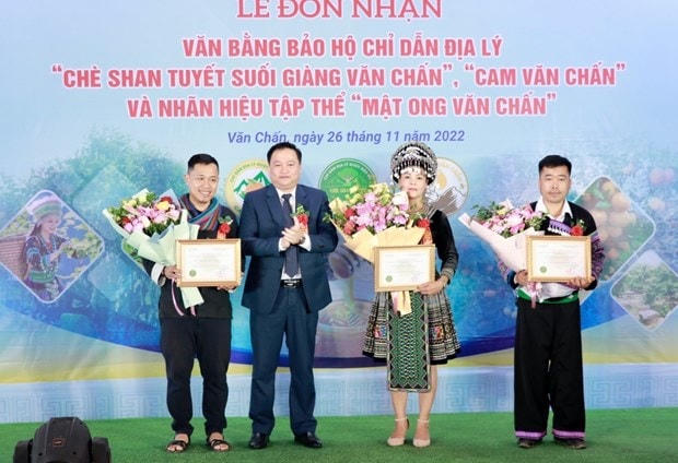 Huyện Văn Chấn vinh dự được đón nhận văn bằng bảo hộ chỉ dẫn địa lý “Chè Shan tuyết Suối Giàng Văn Chấn”, chỉ dẫn địa lý “Cam Văn Chấn” và nhãn hiệu tập thể “Mật ong Văn Chấn”. Ảnh: Tuấn Anh.