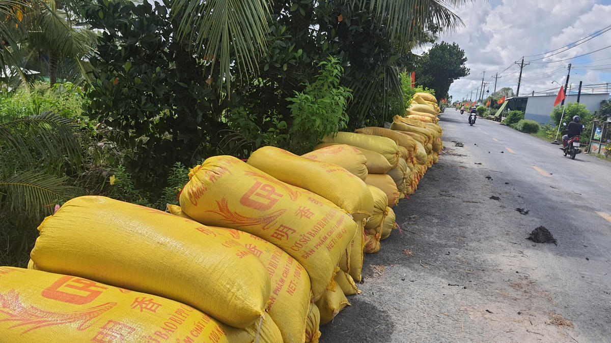 Bà con nông dân cho rằng phía doanh nghiệp "bẻ kèo" phút cuối làm cho bà con khốn đốn tìm thương lái bán với giá thấp.