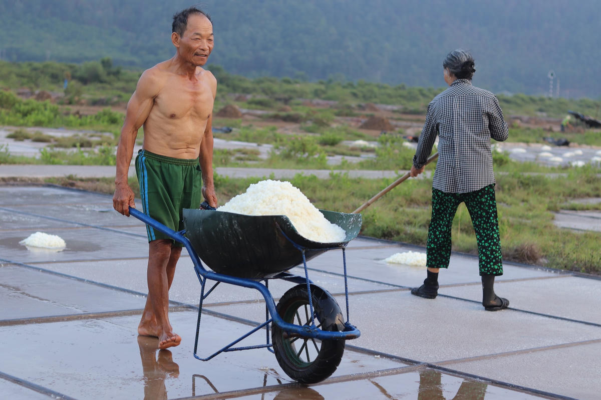 Màu trắng tinh khiết, độ mặn đặc trưng của muối phơi thủ công trên cát đã làm nên thương hiệu riêng cho muối Tam Hòa.