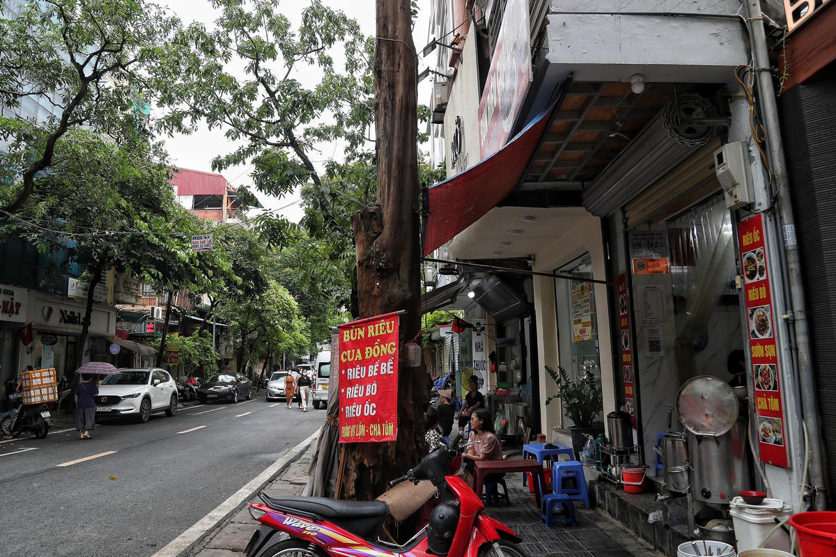 Hà Nội: Loạt cây cổ thụ chết khô tiềm ẩn nguy cơ đổ khi trời giông bão