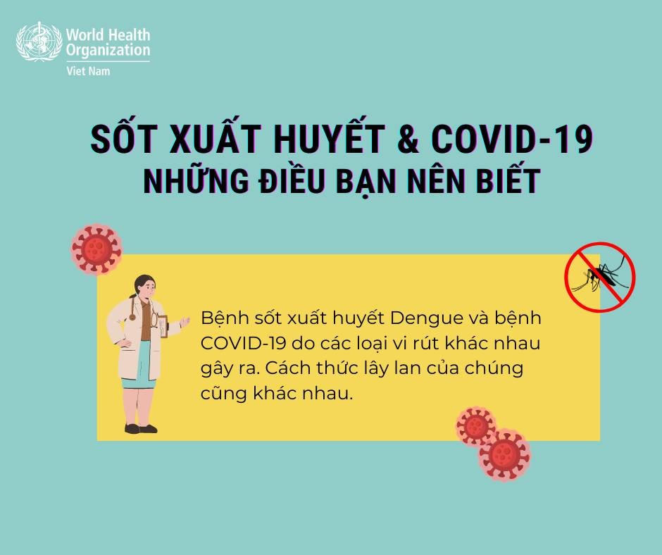 WHO hướng dẫn cách phân biệt sốt xuất huyết và Covid-19
