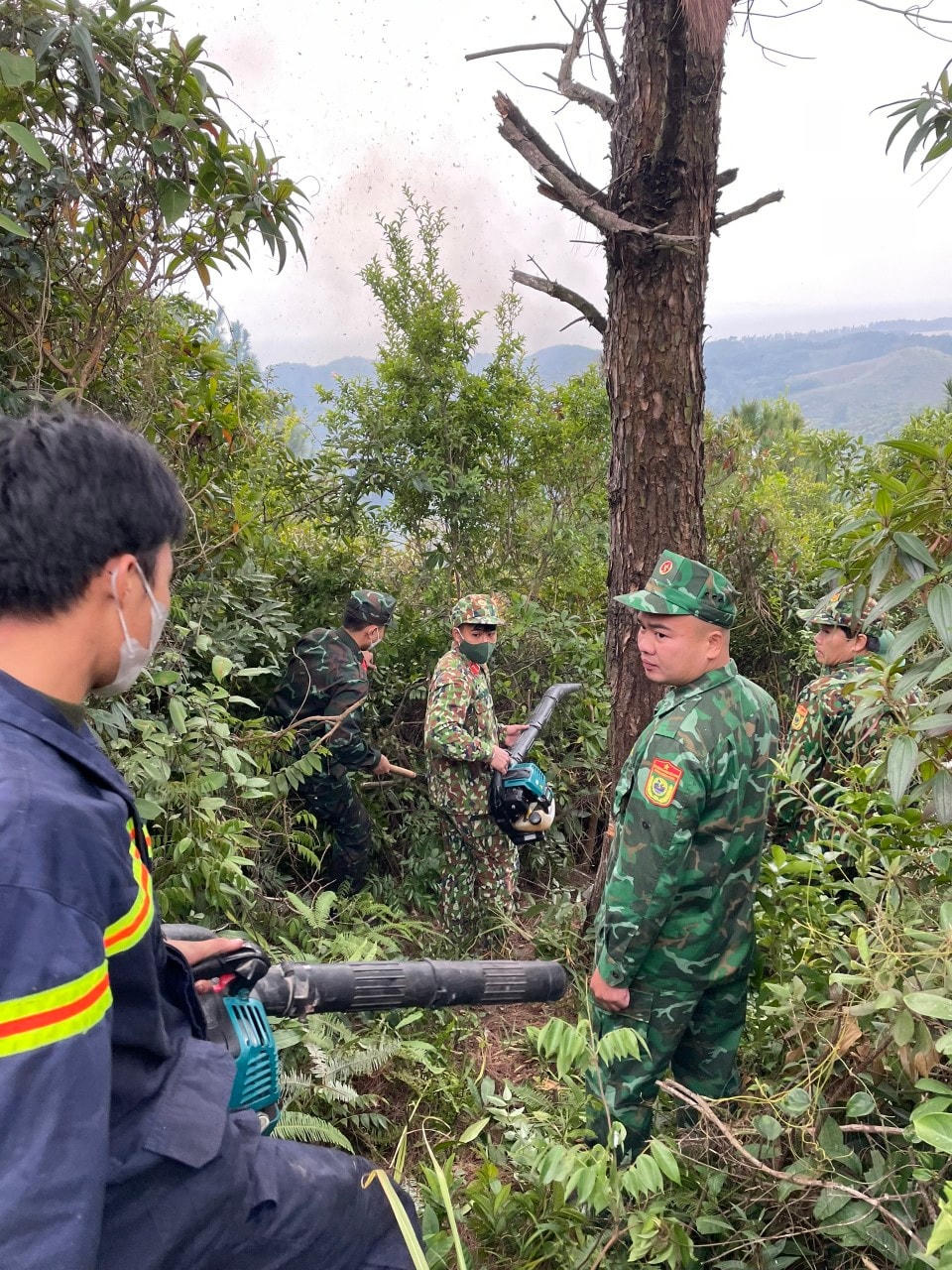Các lực lượng chức năng của TP Móng Cái đã huy động khoảng 60 người tham gia chữa cháy.Sau 8 tiếng tích cực chữa cháy, đám cháy mới cơ bản được khống chế.