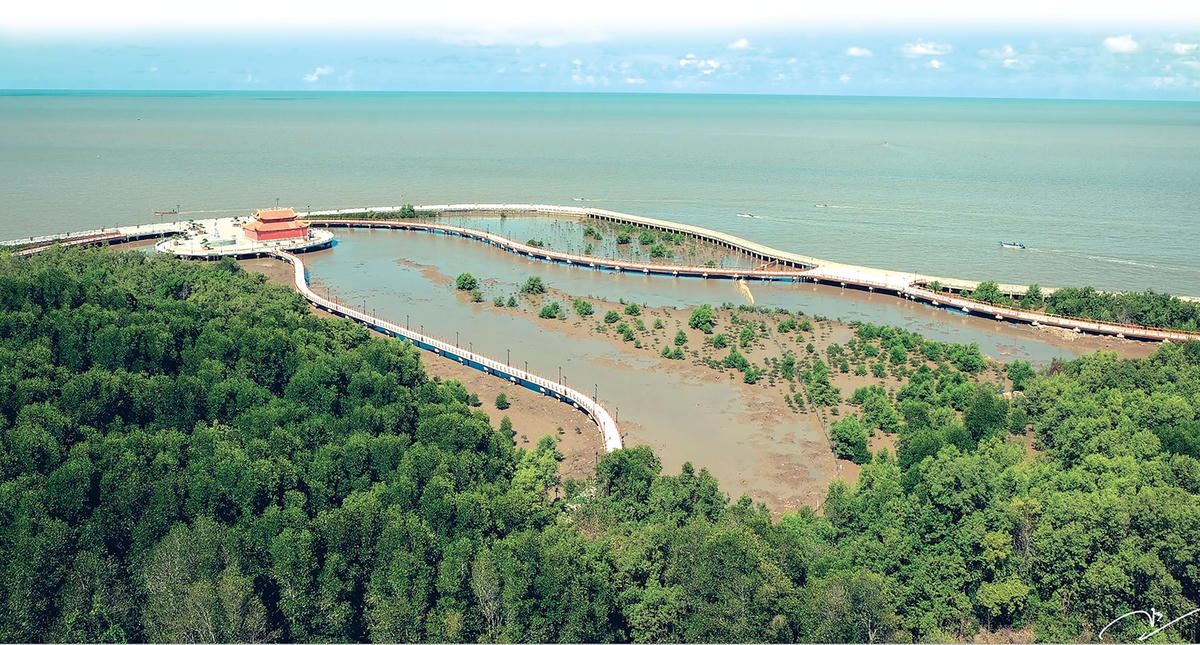 Rừng và biển nhìn từ cột cờ Đất Mũi.