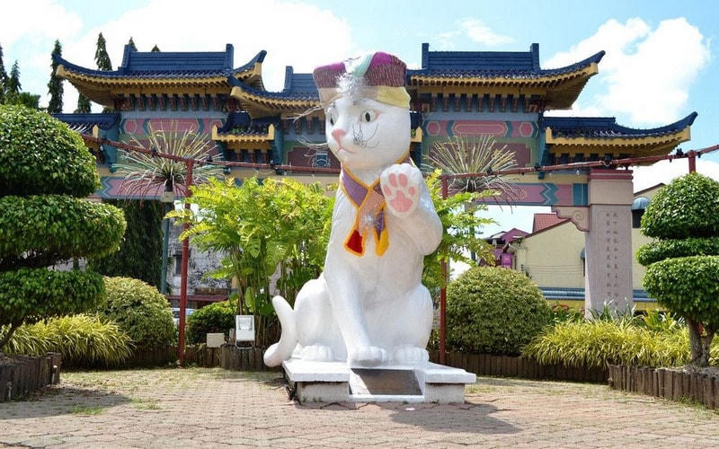 Hình ảnh những chú mèo xuất hiện khắp nơi tại Kuching