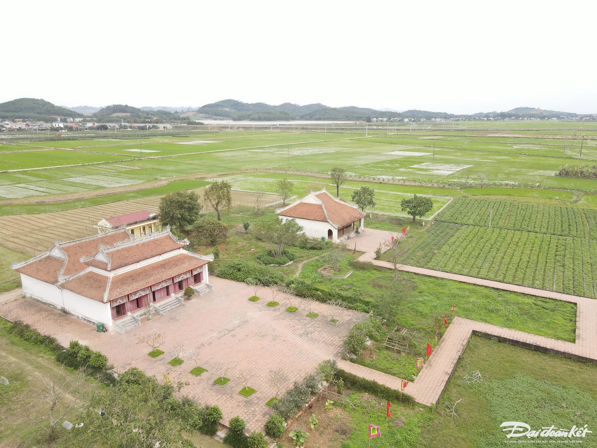 W_dji_fly_20240311_125708_621_1710136698236_photo.jpg