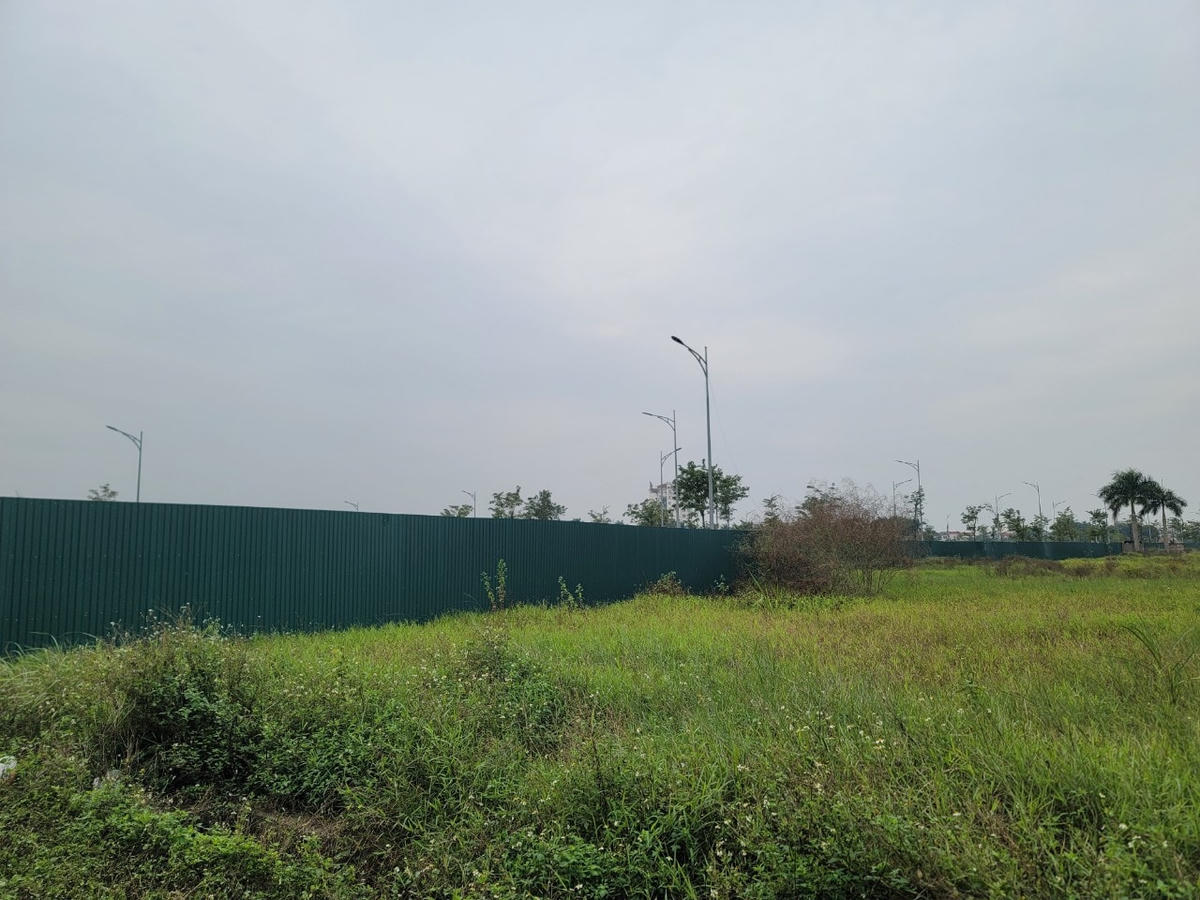 Cận cảnh khu đất huyện Đông Anh 'bán rẻ' cho cựu Chủ tịch Vimedimex Nguyễn Thị Loan