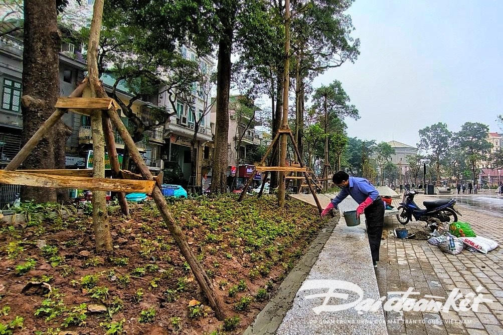 W_vuon_hoa_hang_dau-le-khanh10.jpg