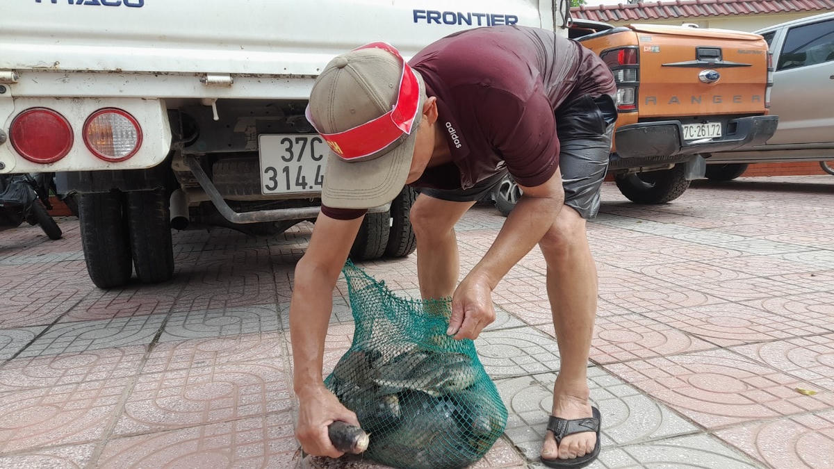 [ẢNH] Ngày hội nơm cá ở Giáo xứ Lập Thạch