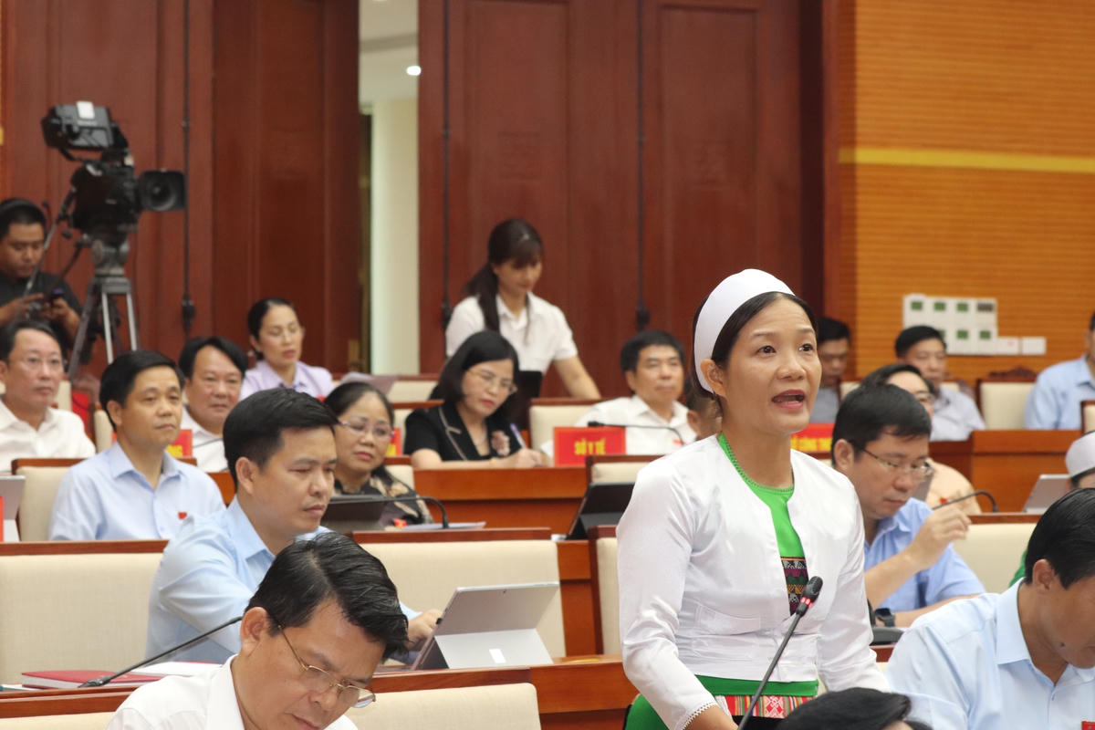 Bà Nguyễn Thu Hà, Đại biểu HĐND thành phố Hòa Bình chất vấn tại kỳ họp.