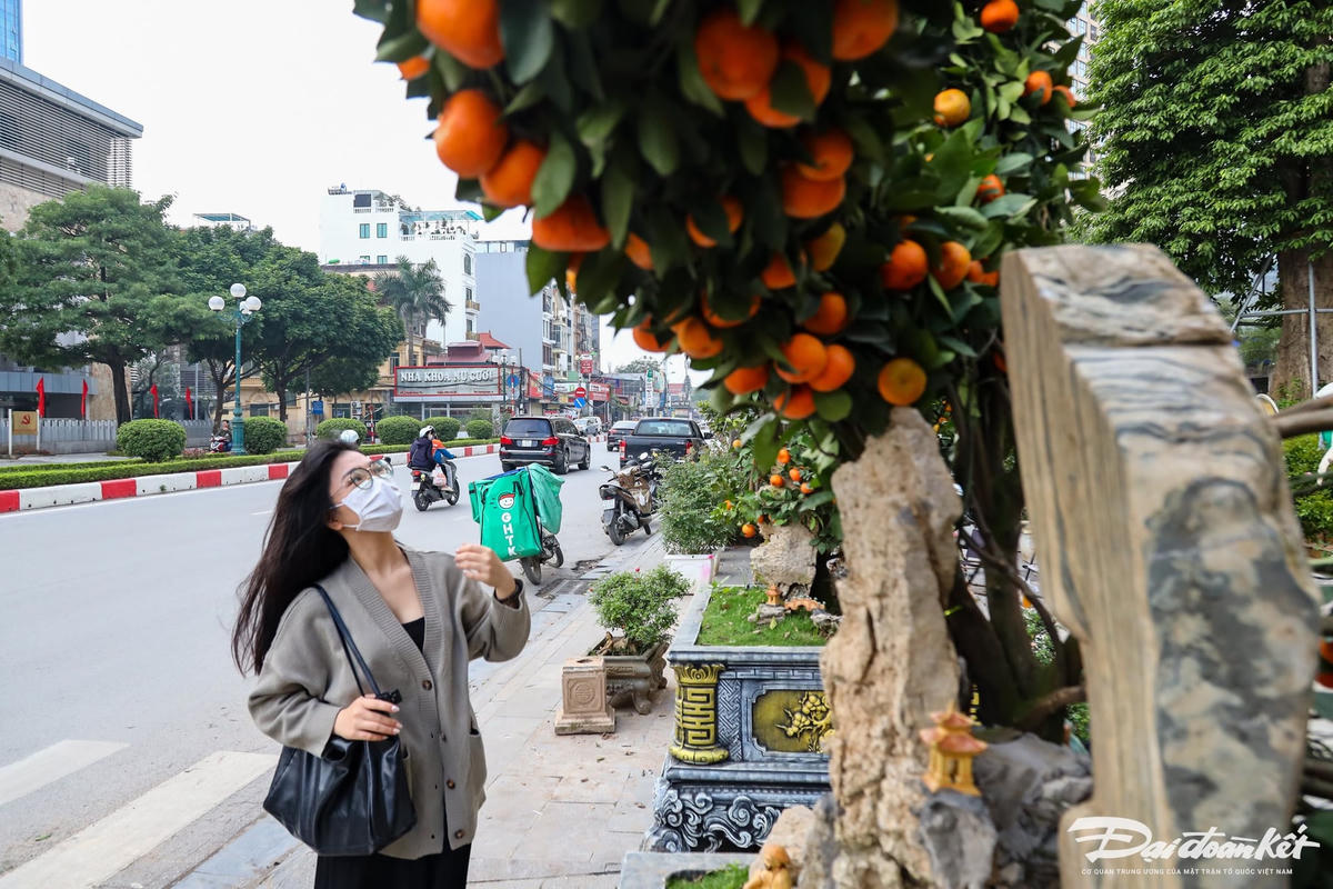 W_quyt-hinh-rong_le-khanh24.jpg
