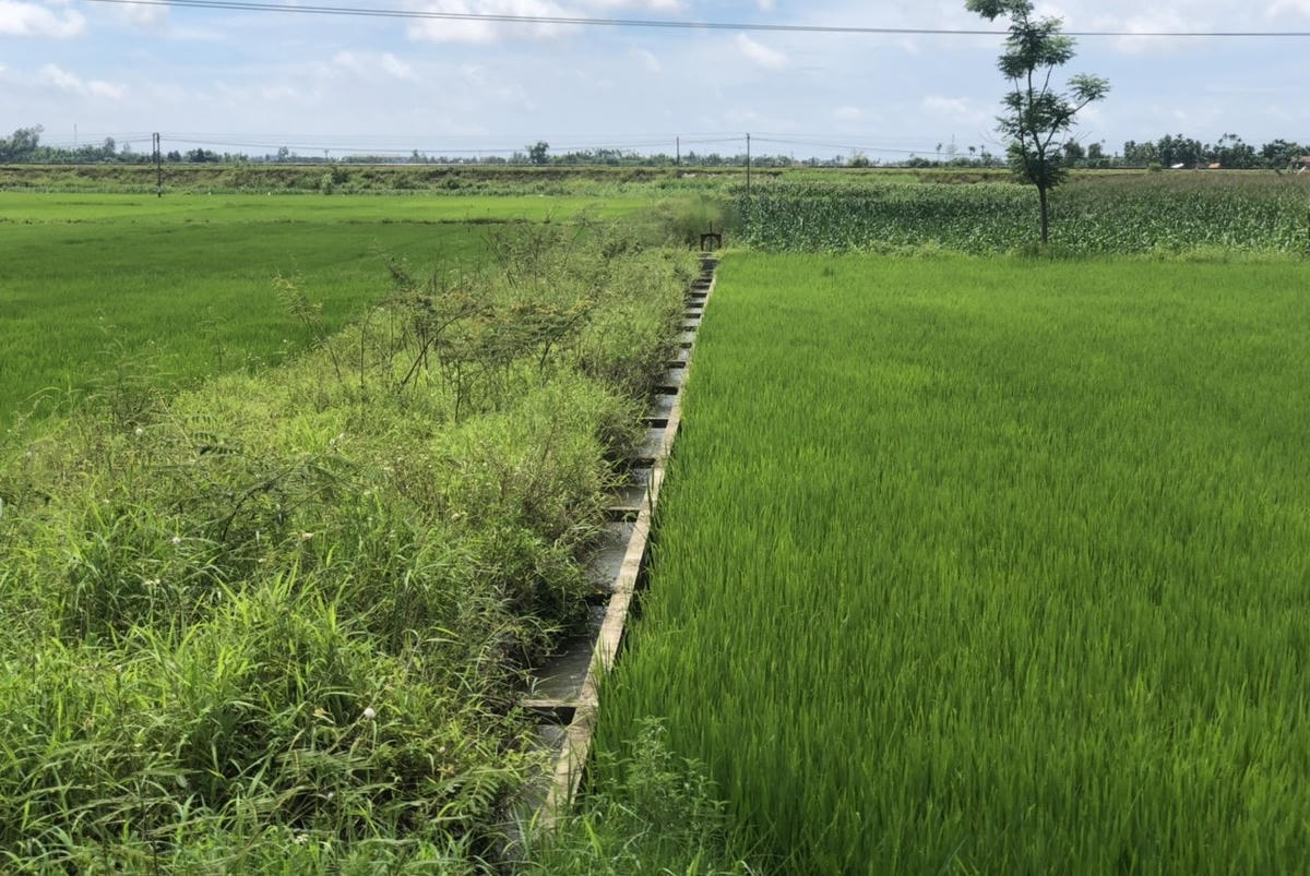 Một đoạn kênh mương dẫn nước do xã Đức Hiệp làm chủ đầu tư.