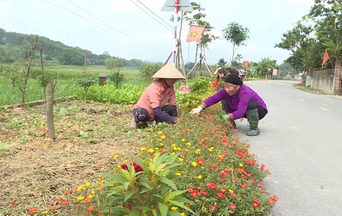 Mô hình tuyến đường hoa được triển khai xây dựng tại nhiều địa phương trên địa bàn tỉnh Vĩnh Phúc.
