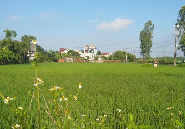 Làng quê An Bình (Kiến Xương, Thái Bình).