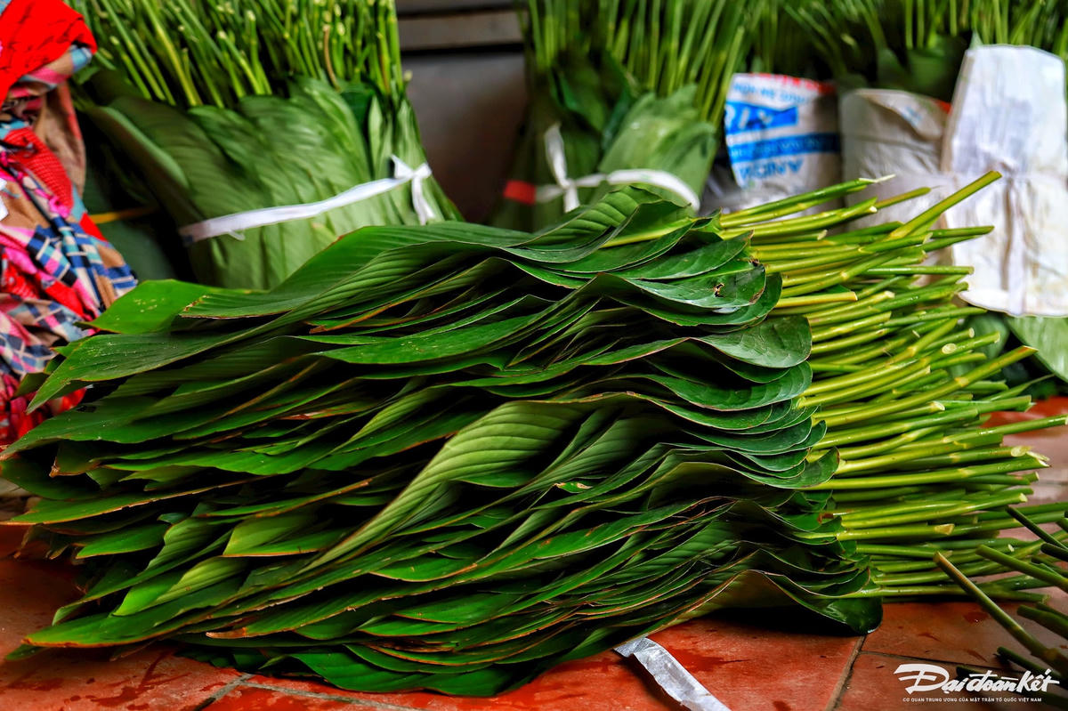 W_la-dong_le-khanh13.jpg