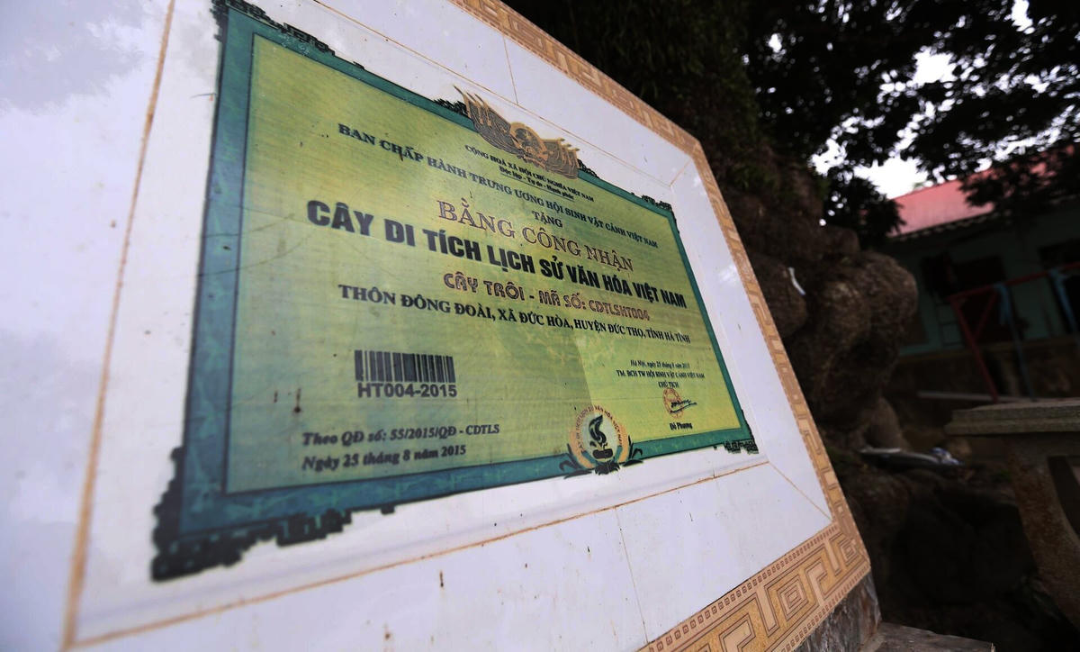 cay10.jpg