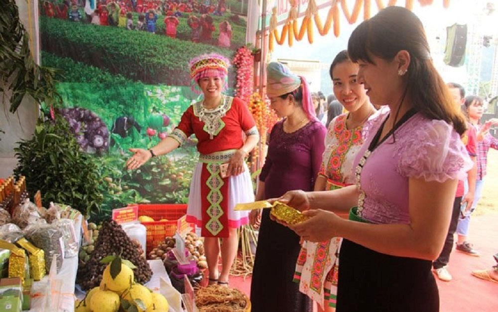 Nhiều địa phương đã chủ động tìm đầu ra, kết nối đưa sản phẩm trái cây ra thị trường.