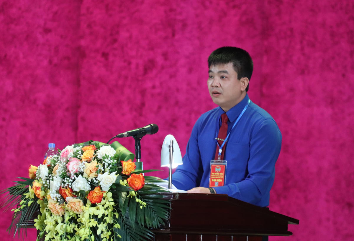 Các đại biểu tham luận tại Đại hội.