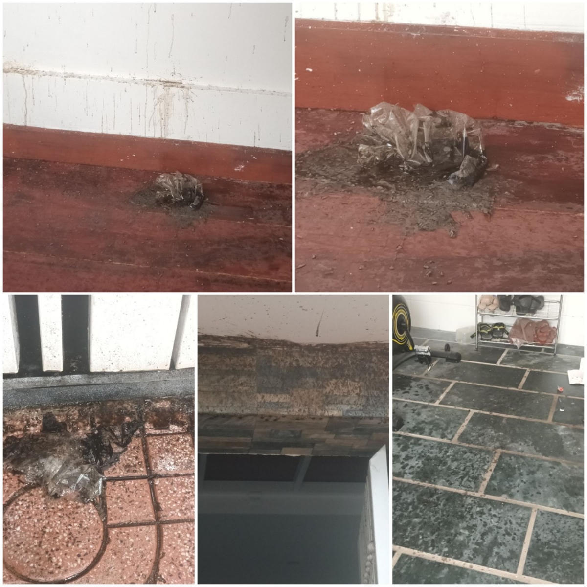 Theo ghi nhận của anh T. đối tượng ném vào nhà anh 3 túi nilong đựng chất bẩn như mắm tôm, ruốc, luyn...