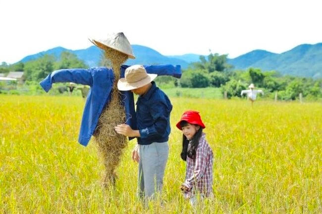 Phim tiếp sóng 'Đấu trí' có gì đặc sắc?