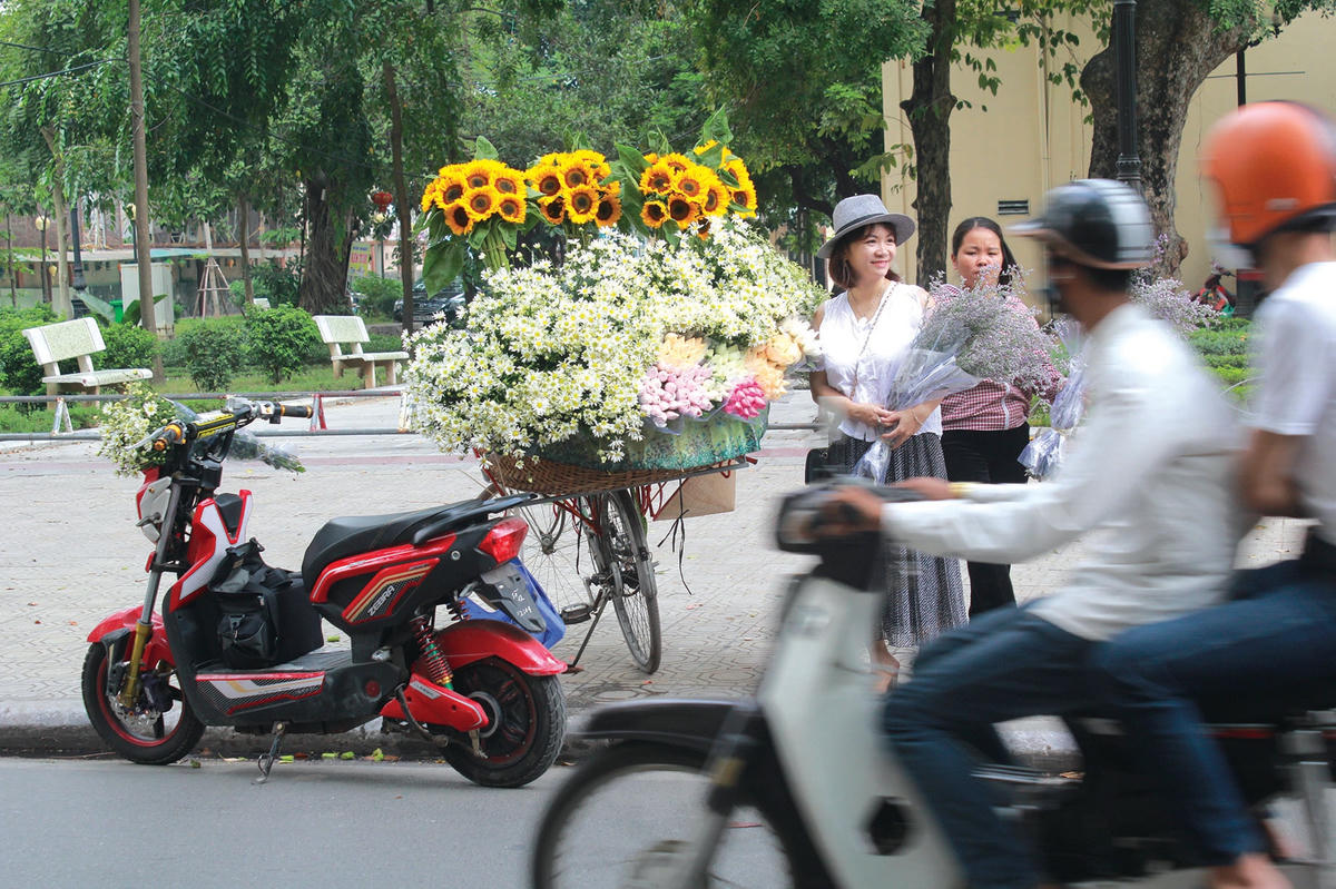 Cúc họa mi đã tạo nên nét đẹp duyên dáng của khoảnh khắc cuối thu - đầu đông của Hà Nội.  