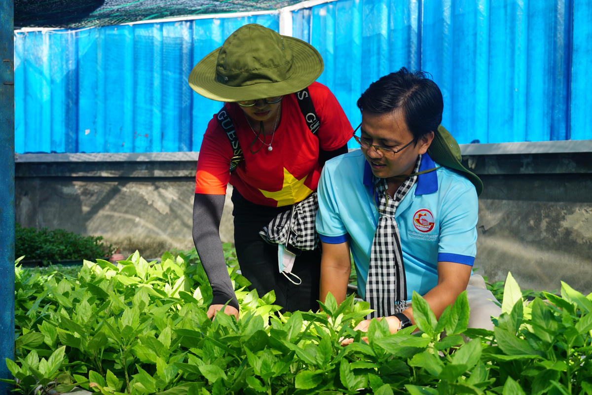 Đại biểu thích thú bên vườn rau xanh mướt trên đảo Đá Đông A. Ảnh: Mạnh Thìn.