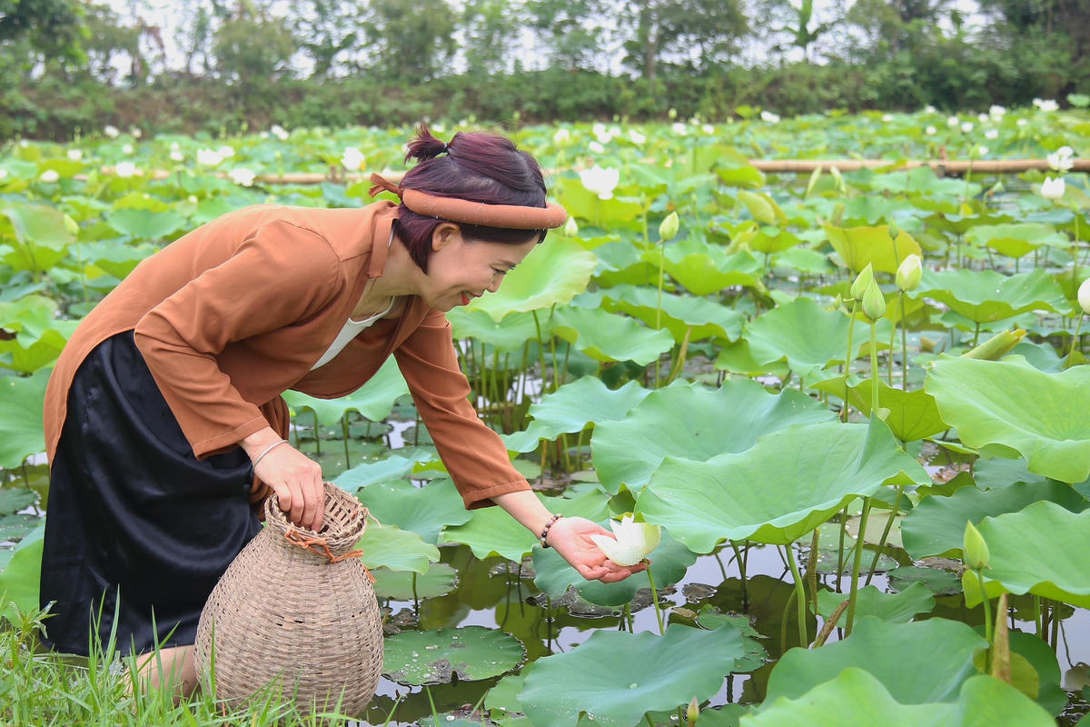 Nhiều người sẵn sàng lội bùn để có bức ảnh chụp cùng sen.