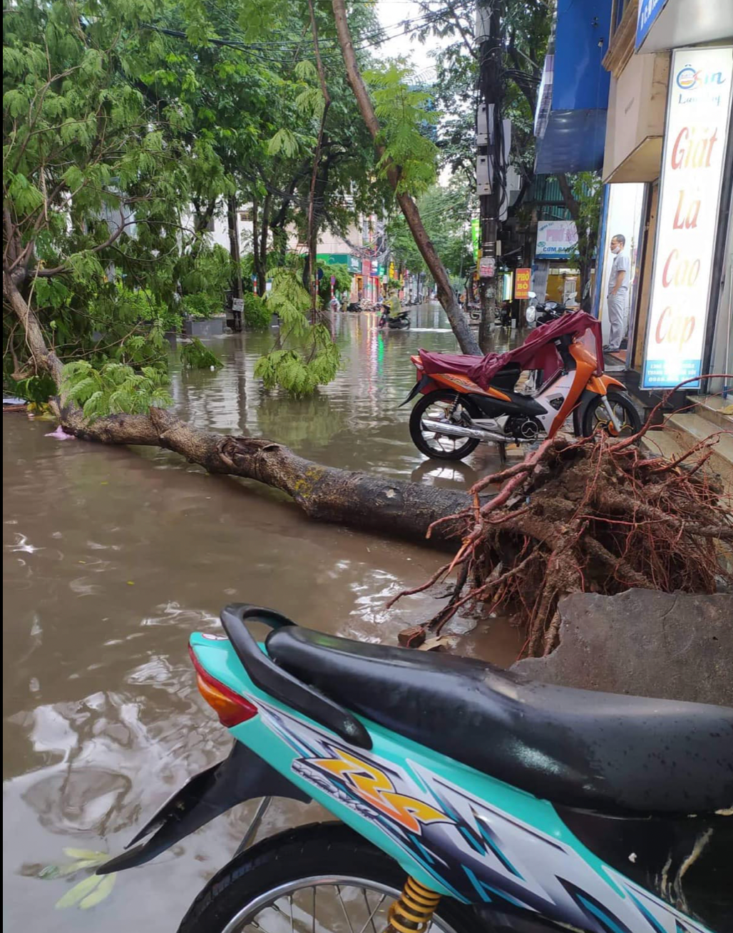 Tại đường Nguyễn Tuân, nhiều cây xanh trên đường đổ gục gây nguy hiểm cho người đi đường. 