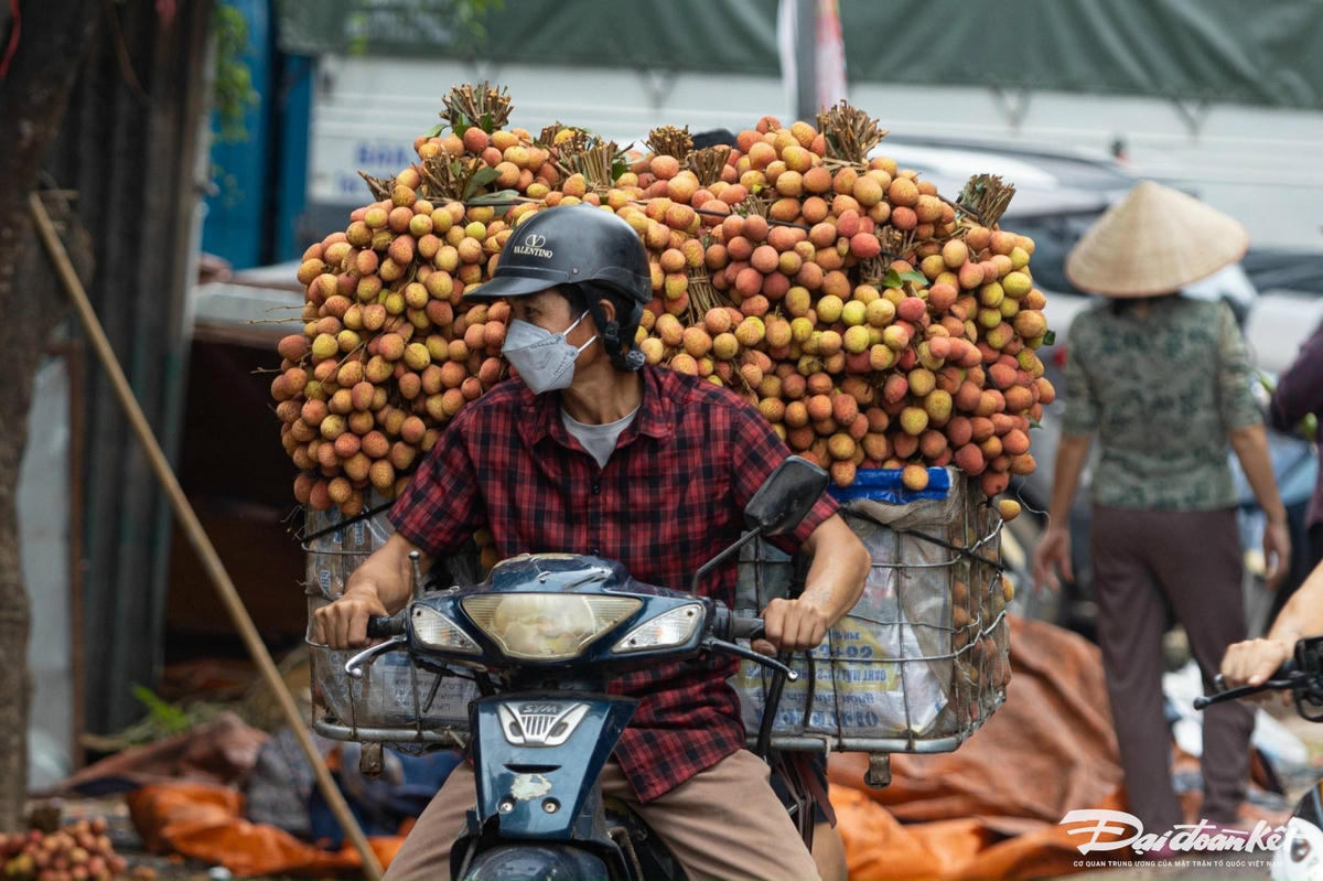 ban_vai-le-khanh13.jpg