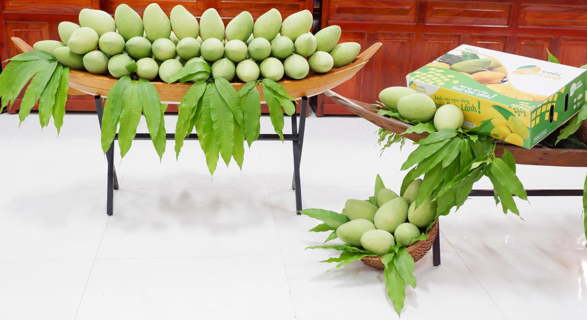 Tiếp tục đẩy mạnh thương hiệu xoài Đồng Tháp đến thị trường trong và nước.