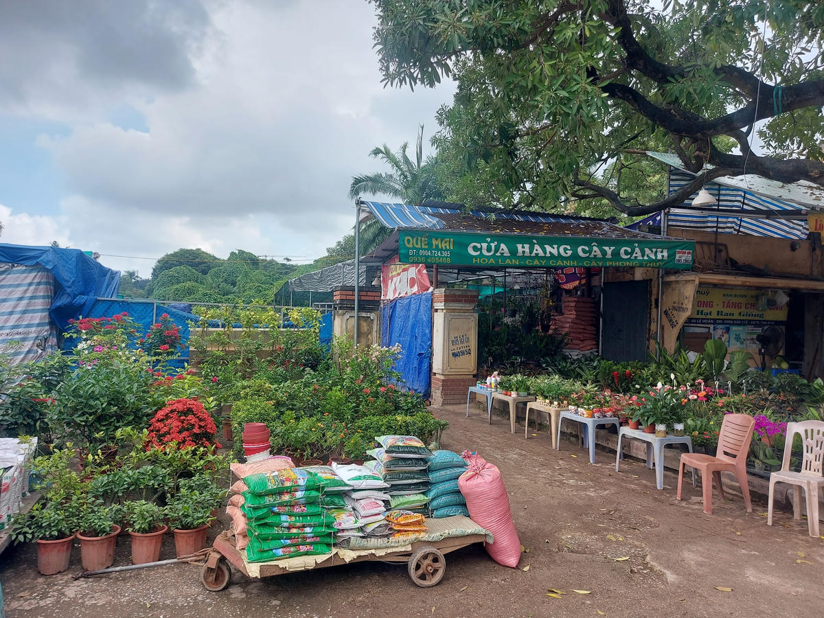 Khu trưng bày của Hội Sinh vật cảnh TP Thanh Hoá rộng 5.979 m2, đang thực hiện di chuyển cây cảnh ra khỏi công viên nhưng thực tế vẫn đang còn nhiều. UBND thành phố đã ban hành văn bản yêu cầu Hội Sinh vật cảnh phải hoàn trả lại nguyên trạng ban đầu của khu đất đang sử dụng nhưng đến nay Hội vẫn làm chưa xong.