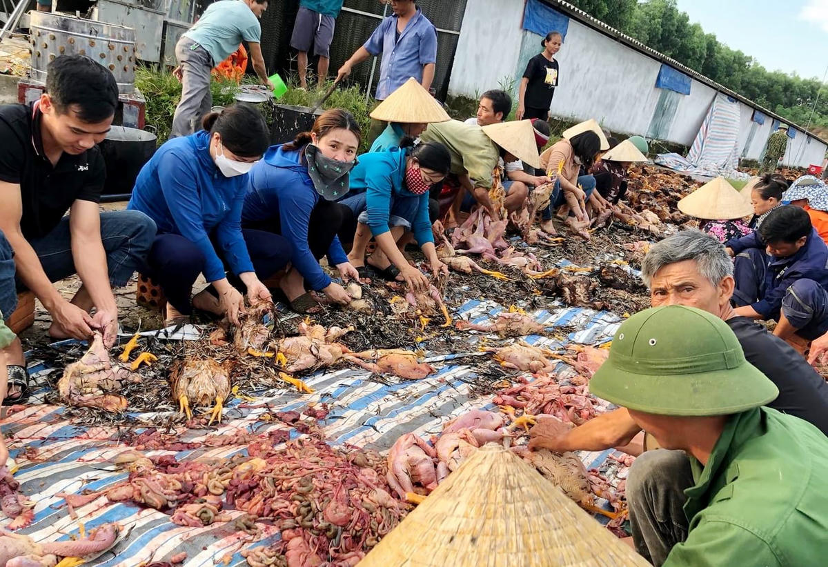 Hàng trăm người được huy động đến giúp đỡ anh Phố.